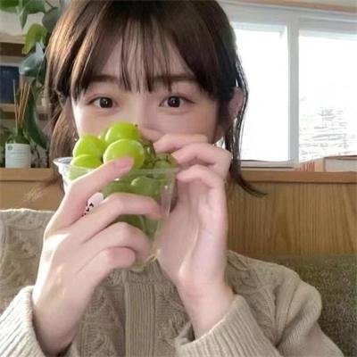 莫奇的故事